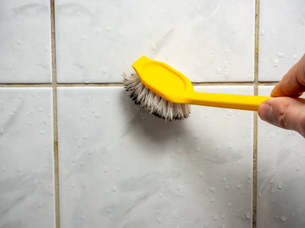 Best Mold Removal Process  in Walsenburg, CO