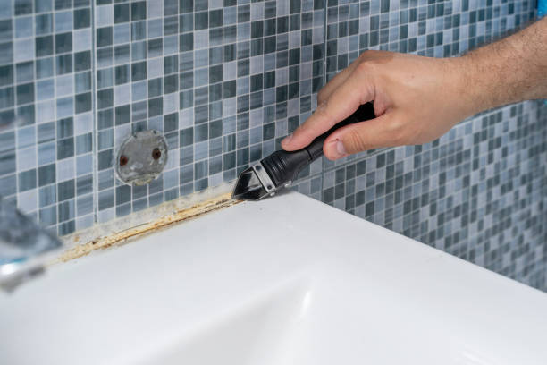 Best Mold Remediation  in Walsenburg, CO