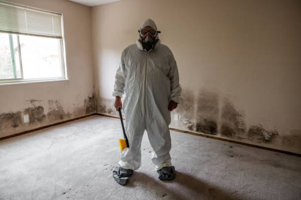 Best Mold Removal and Inspection  in Walsenburg, CO